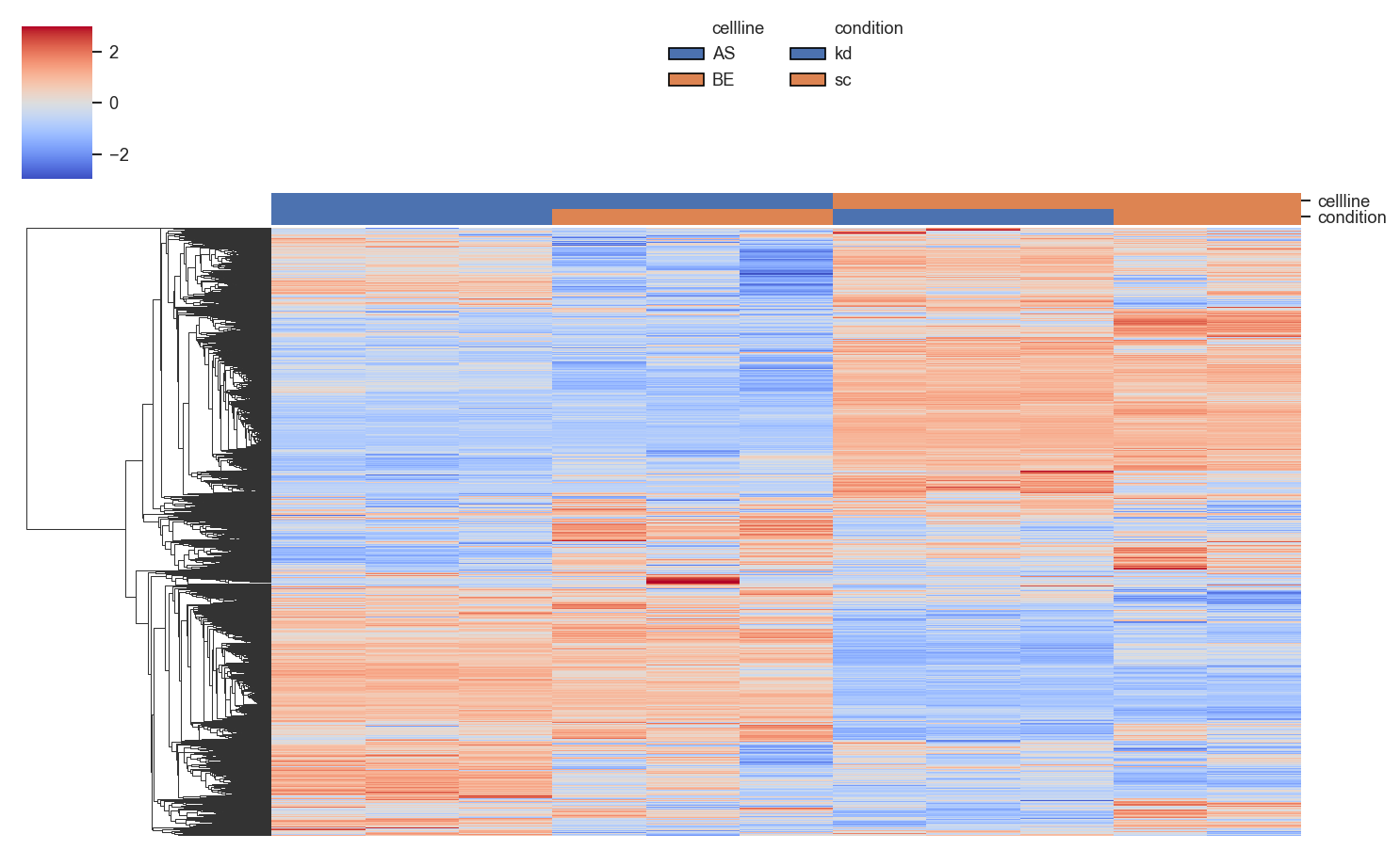 Plot clustermap
