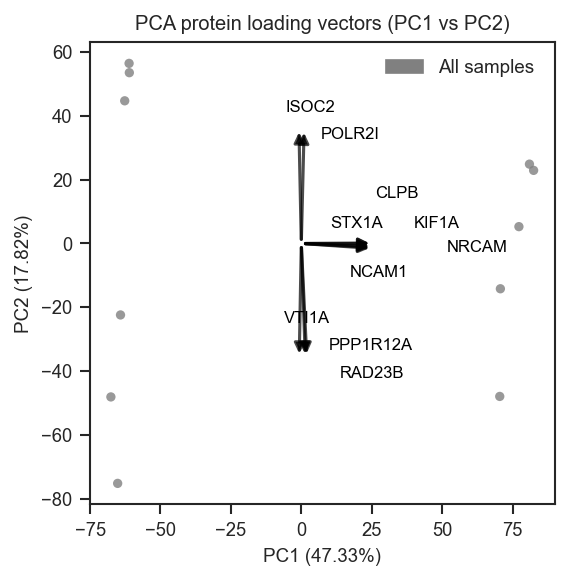 Plot PCA protein vectors