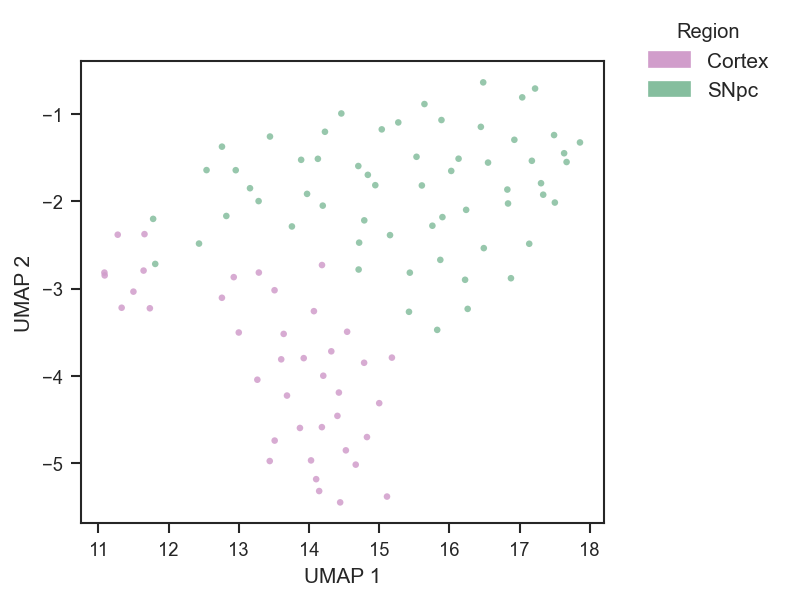 Plot UMAP