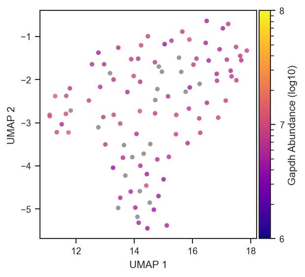 UMAP colored by abundance (log10)