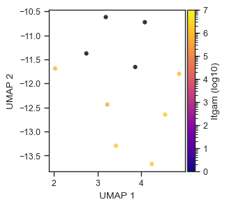 UMAP ITGAM log scale