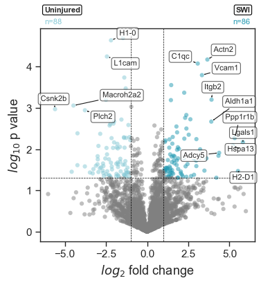 Volcano plot highlighting upregulated and downregulated proteins